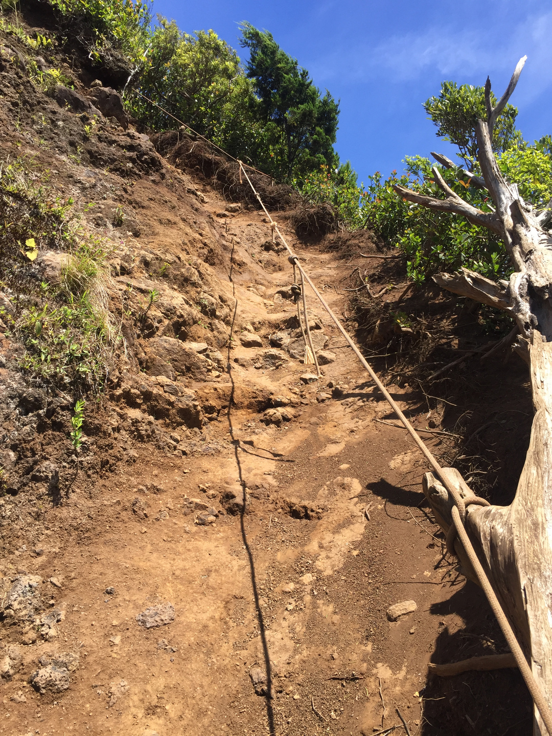 Piton de La Petite Rivière Noire :: the washed-out top trail ropes
