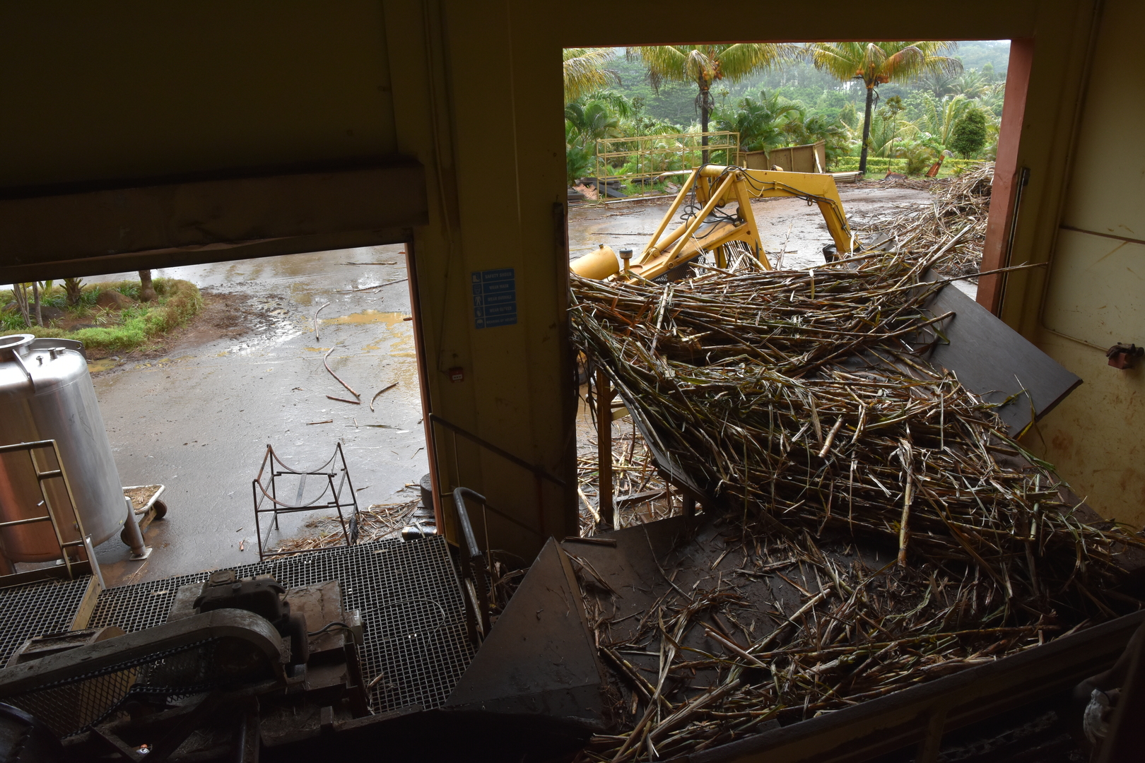 Rhumerie de Chamarel :: sugar cane delivery in the backyard