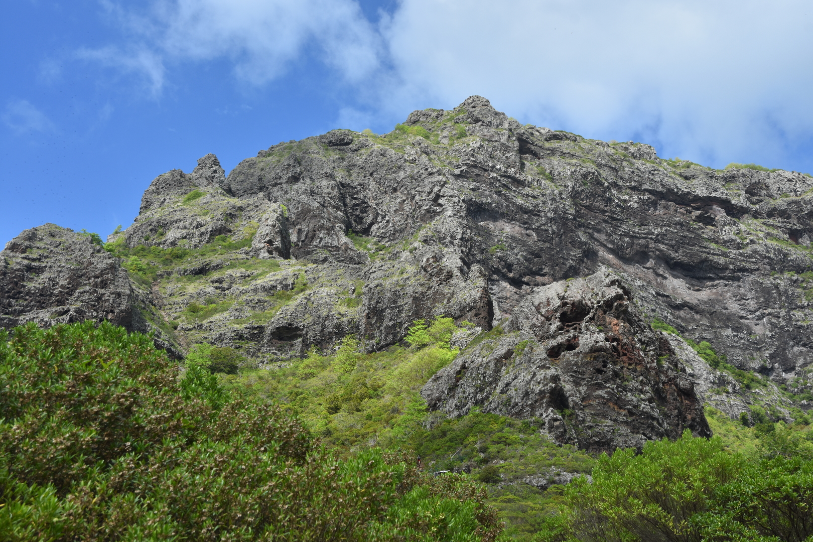 Le Morne Brabant :: examining the climbing route, the cross is on the pointed rock in the middle of the left sloping ridge