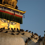 Kathmandu :: Chhetrapati :: pidgeons of the Kathesimbu stupa