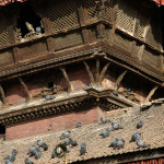 Bhaktapur :: Tachupal Tole :: pidgeons of the Dattatreya temple