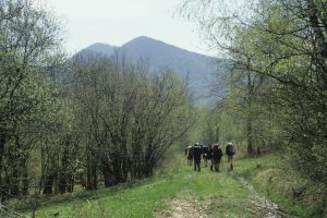 Going down to Cigeľka, Beskid Niski, April 2001